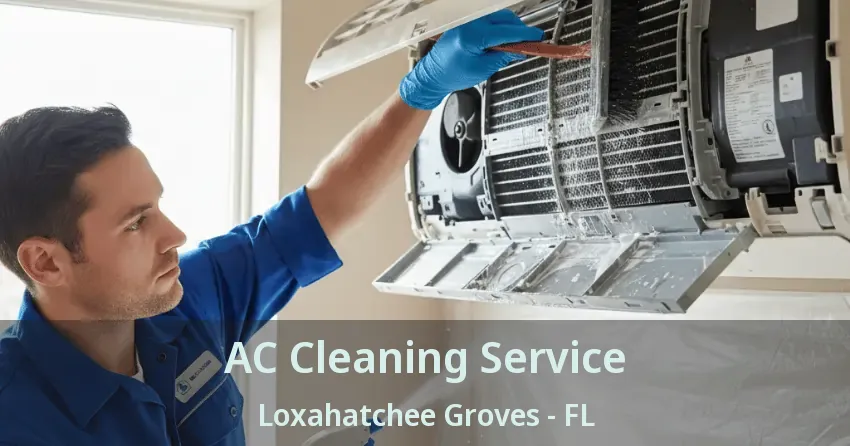 AC Cleaning Service Loxahatchee Groves - FL