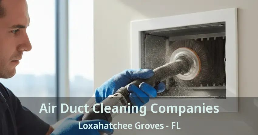 Air Duct Cleaning Companies Loxahatchee Groves - FL Air Duct Cleaning Companies Loxahatchee Groves - FL