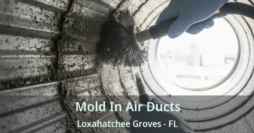 Mold In Air Ducts Loxahatchee Groves - FL